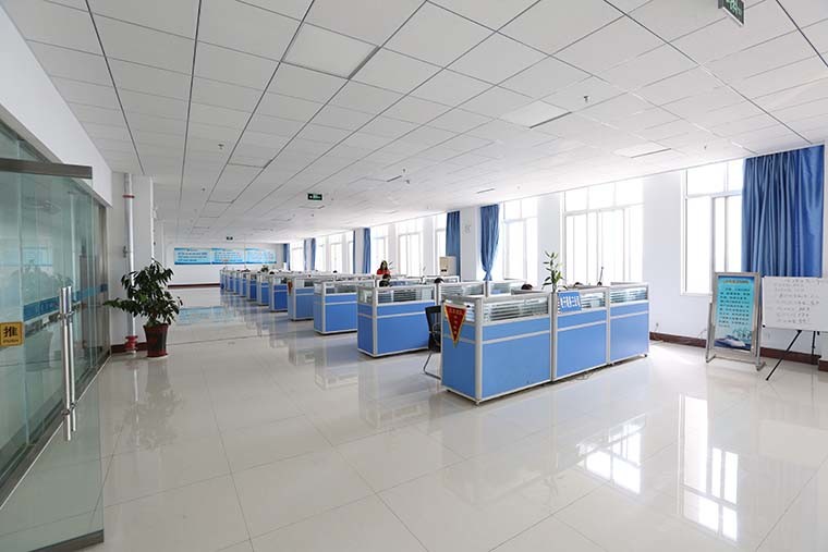 Shandong China Coal Industrial & Mining Supplies Group Co., Ltd.